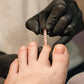 Pediküre mit Nagellack (POS) - Doriana Cosmetics GmbH